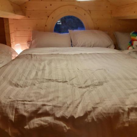 Springbank Cabin Insch Extérieur photo